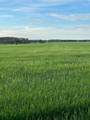 Portion of NE 2 74 9 & NW 2 74 9 W6 - Photo 20