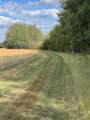 Portion of NE 2 74 9 & NW 2 74 9 W6 - Photo 5