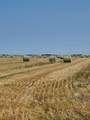 162 Hays Rd 30 N - Photo 4