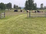 34331 Range Road 41 Road - Photo 21