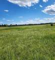 32079 Willow Way - Photo 4