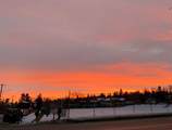2203 14 Street - Photo 19