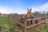 61016 897 Highway - Photo 38