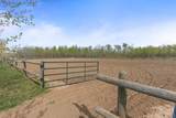 61016 897 Highway - Photo 41