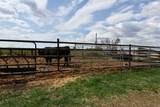 14123 Township Road 404 - Photo 7