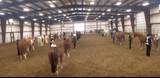 390039 Range Road 54 - Photo 38