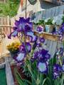 56 Greenbrook Village - Photo 10