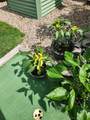 56 Greenbrook Village - Photo 17