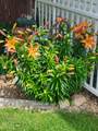 56 Greenbrook Village - Photo 19