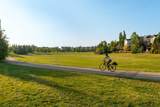 4513 17 Street - Photo 25
