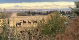 36408 Range Road 271 - Photo 43