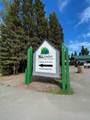 Highway 27 Timber Ridge - Photo 1