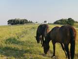 162 Hays Rd 30 N - Photo 29