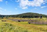 25 Chinook Ridge - Photo 50