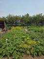 274133 Range Rd. 252 - Photo 45