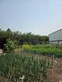 274133 Range Rd. 252 - Photo 47