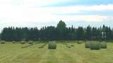 390039 Range Road 54 - Photo 46