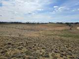 406 Sand Hills Drive - Photo 6