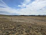406 Sand Hills Drive - Photo 7