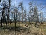 5228 Highway 579 - Photo 11