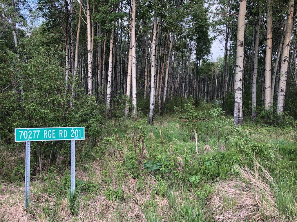 70277 Range Road 201 Road - Photo 1