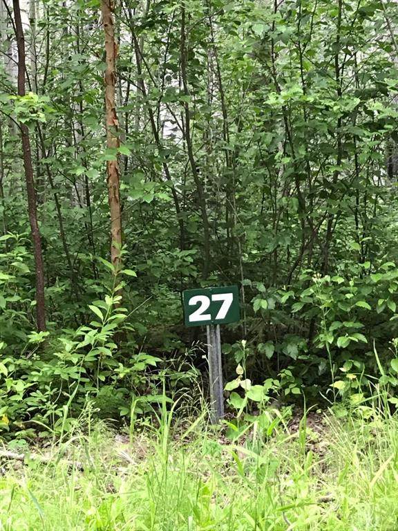 27 Wapiti River Recreation - Photo 1