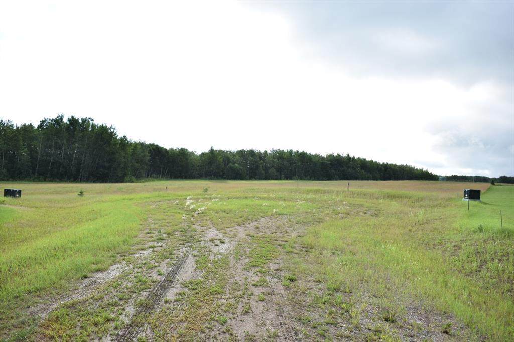 3 White Tail Close - Photo 1
