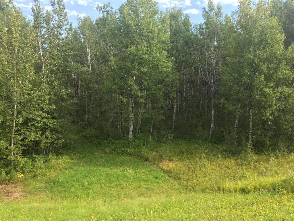 224002 Township 654 Road - Photo 1