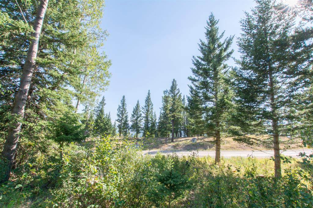 49 Kananaskis Way - Photo 1