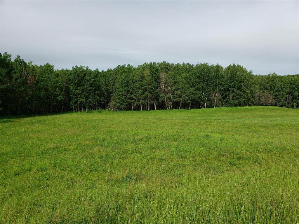 1 Bruhn Bend - Photo 1