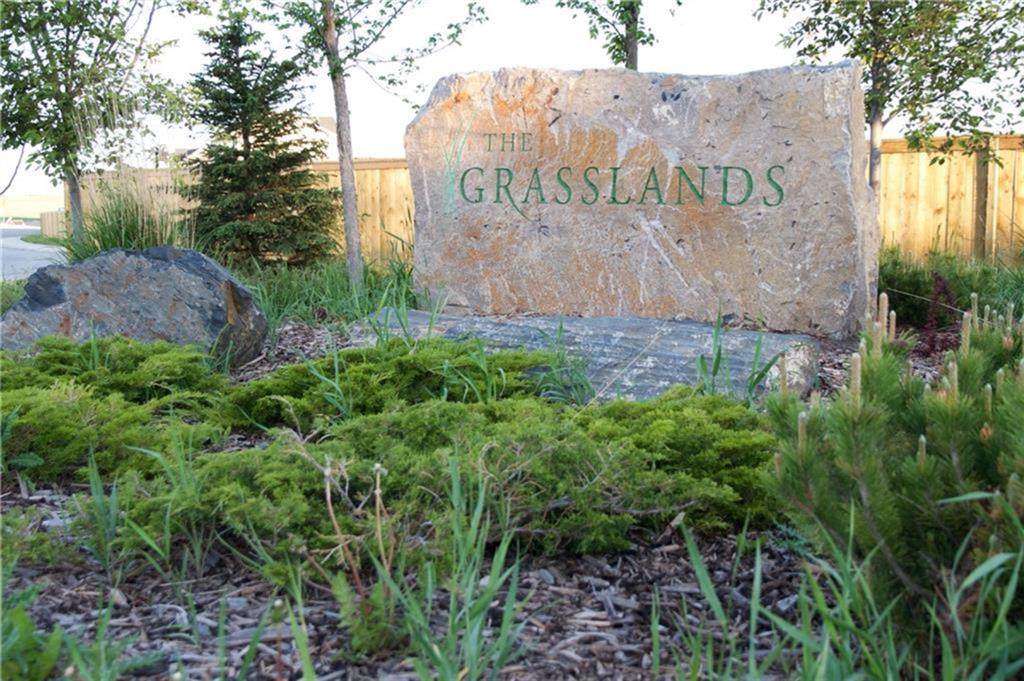 205 Grasslands Way - Photo 1