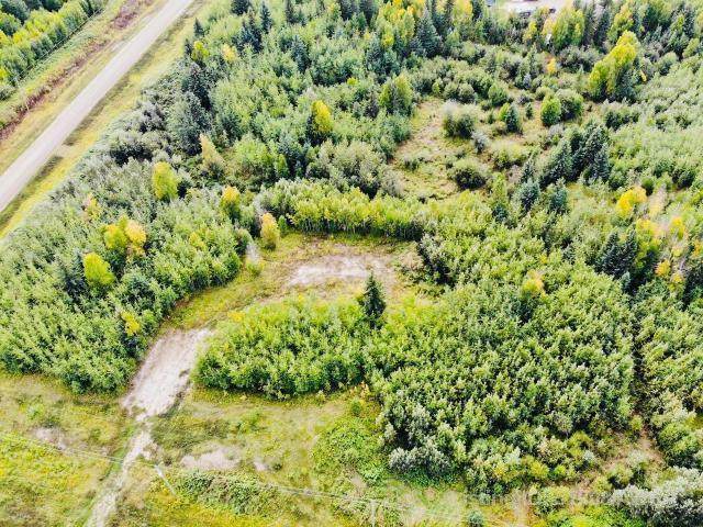 Lot 3 Mountain Springs Subdv. - Photo 1
