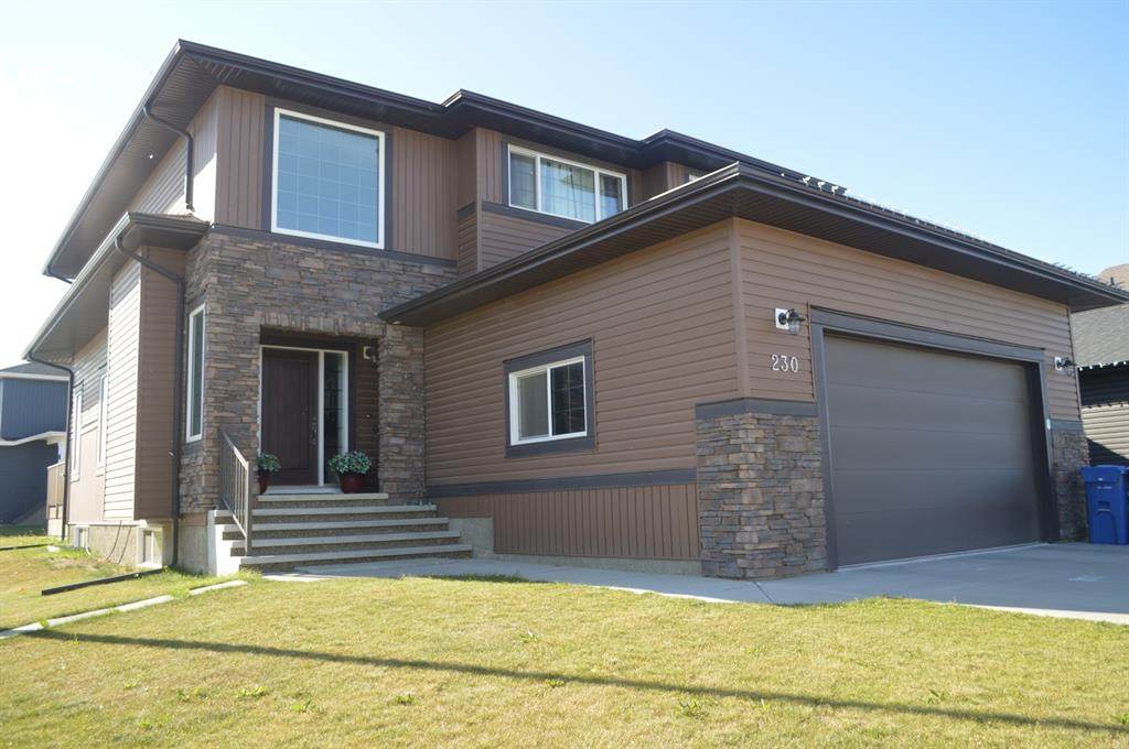 230 Carrington Drive - Photo 1