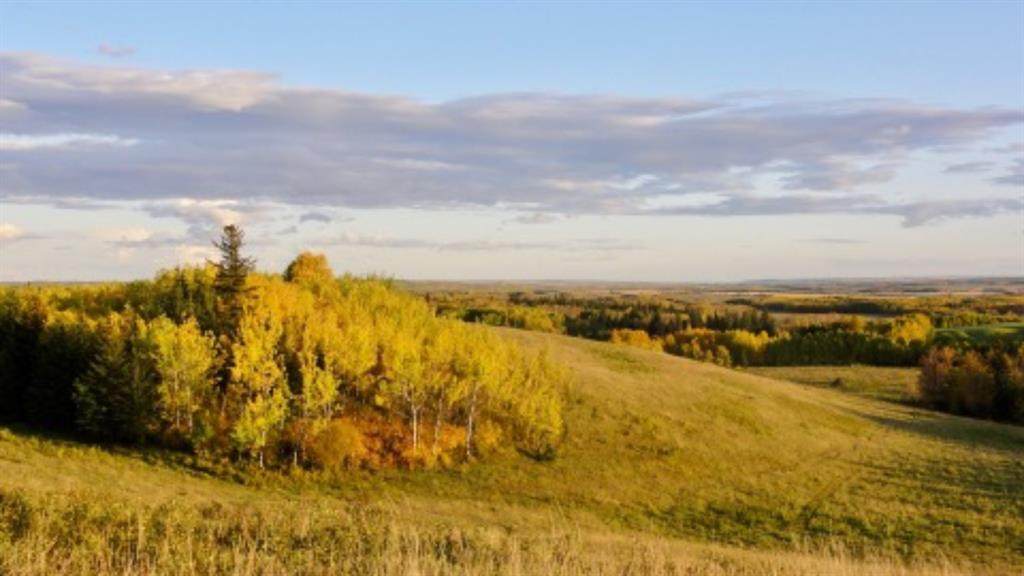 On Range Road 111 - Photo 1