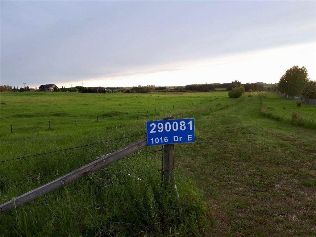 290081 1016 Drive - Photo 1