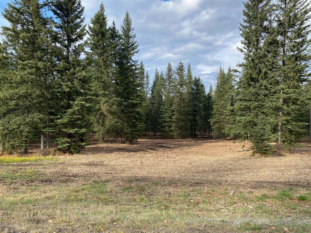 53018 Range Road 175 - Photo 1