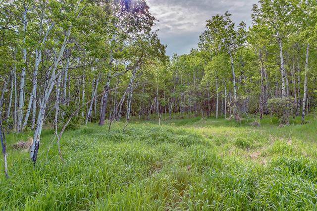 60 Stonewood Dale - Photo 1