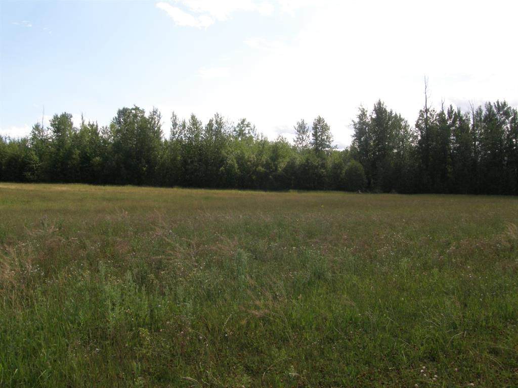 50 Swan Valley Estates - Photo 1