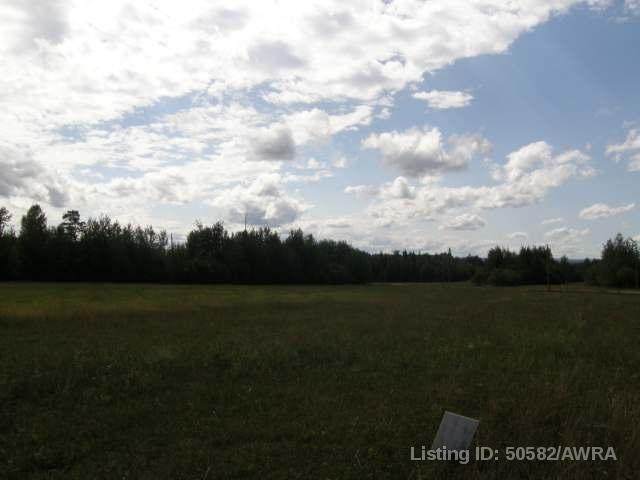 51 Swan Valley Estates - Photo 1