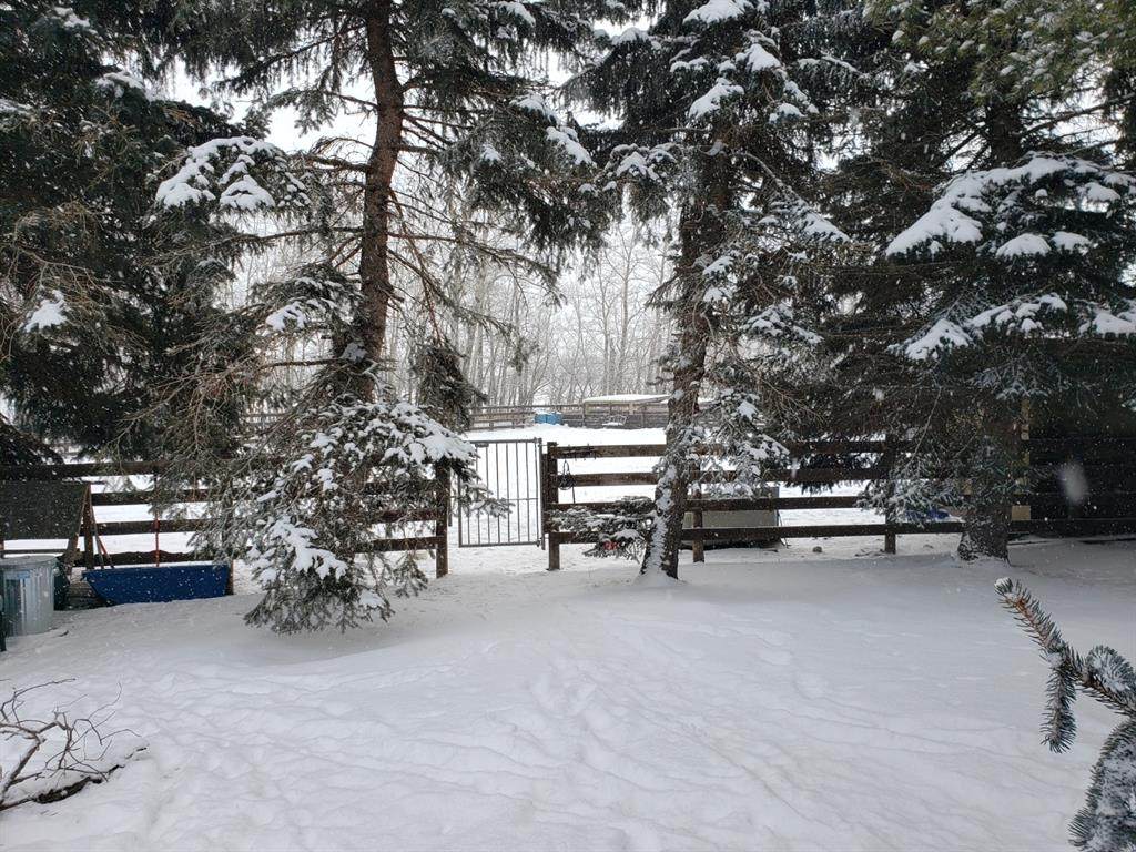 37528 Range Road 285 - Photo 1
