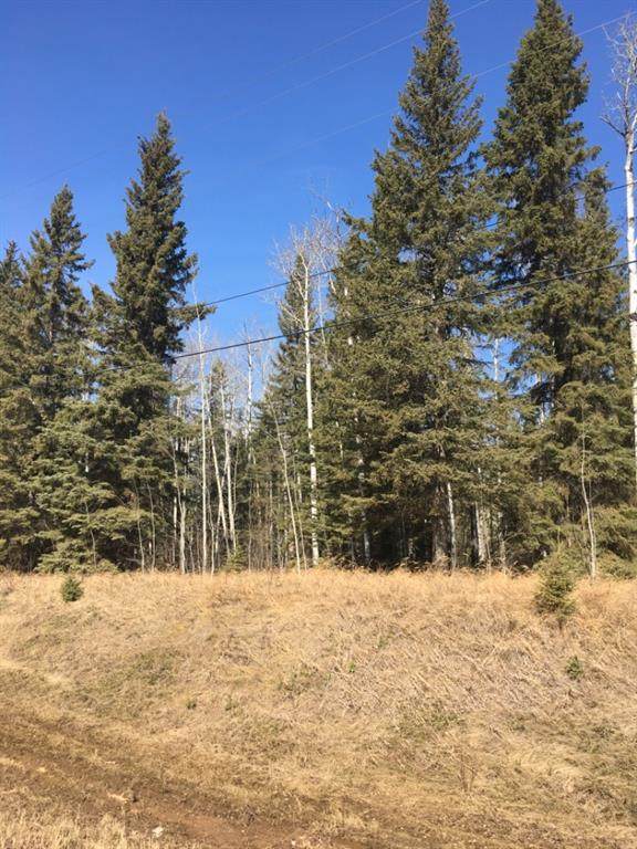 148 Christina Lake Drive - Photo 1