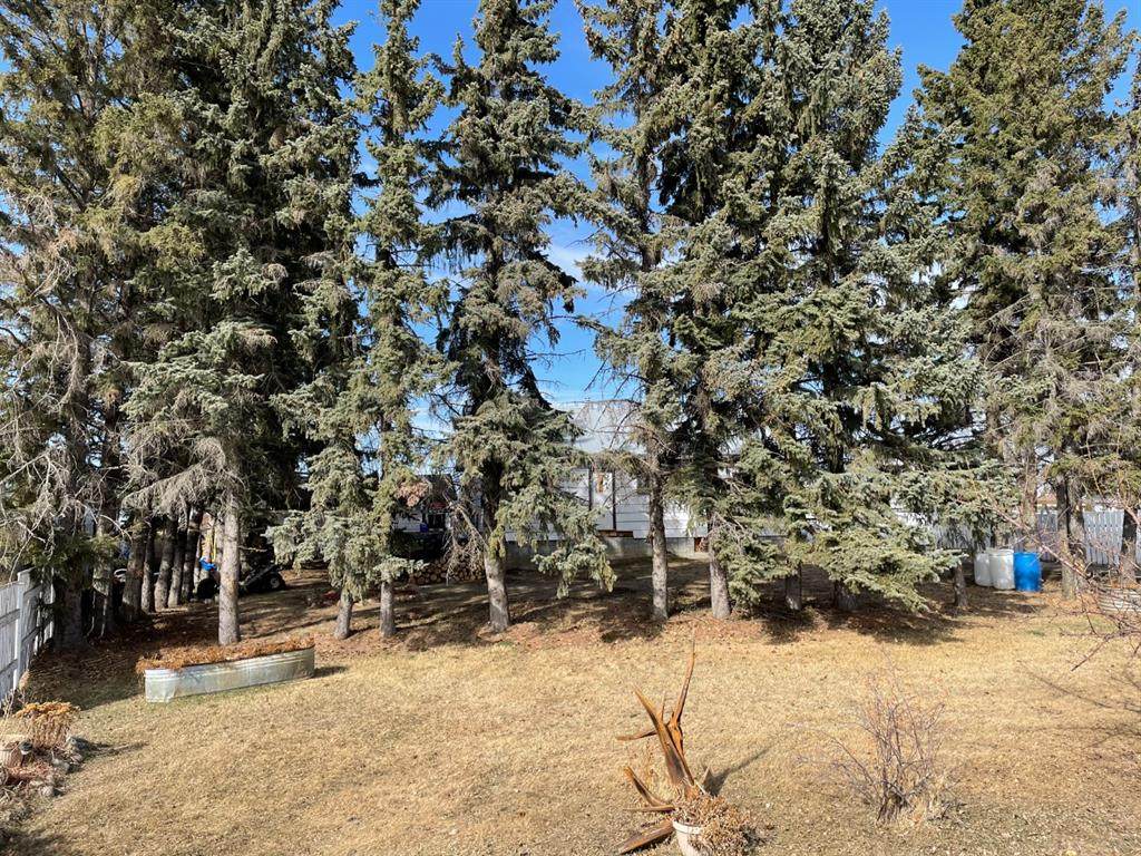 5118 48 Avenue - Photo 1