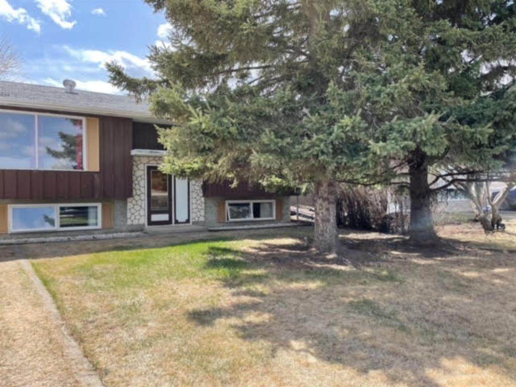1353 2 Avenue - Photo 1