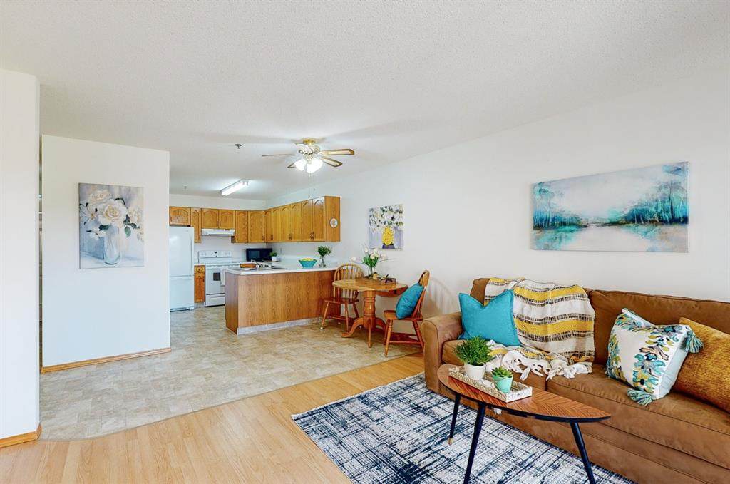 22 Park Meadows Drive - Photo 1