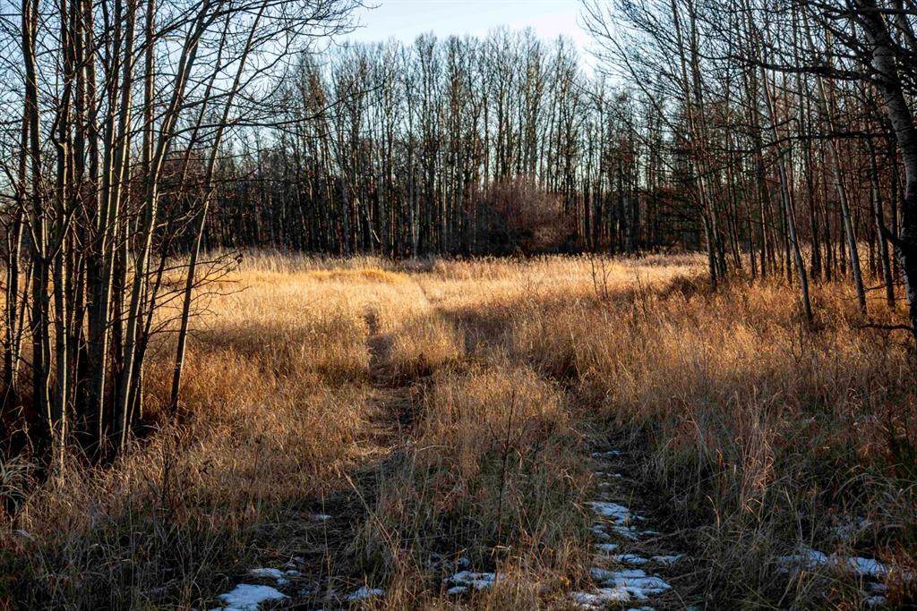 On Township Road 385 - Photo 1