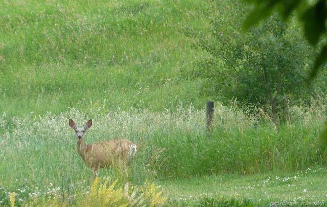 420069 Range Road 284 - Photo 1