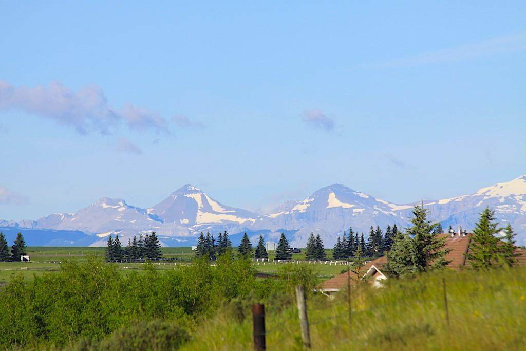 15 Tumbleweed Point - Photo 1
