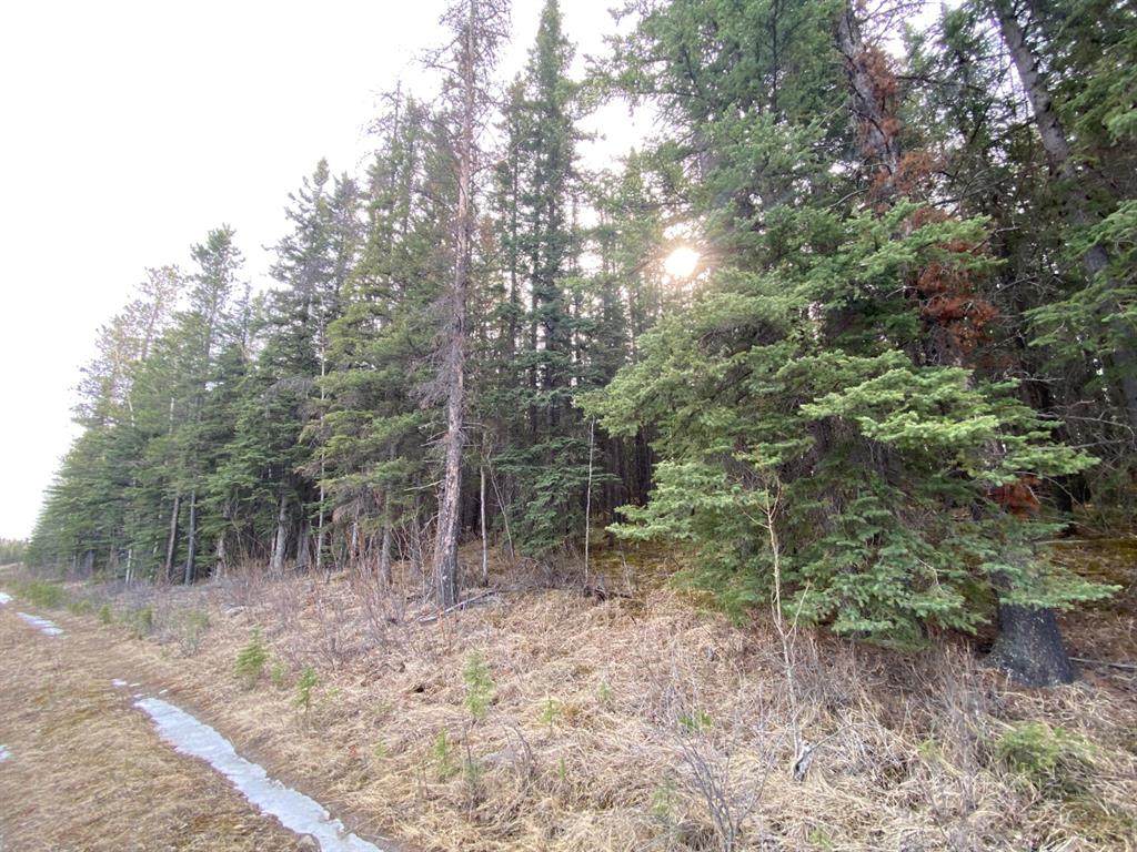 https://bt-photos.global.ssl.fastly.net/calgary/orig_boomver_1_A1212773-2.jpg