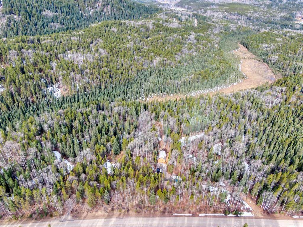 Forestry Way - Photo 1