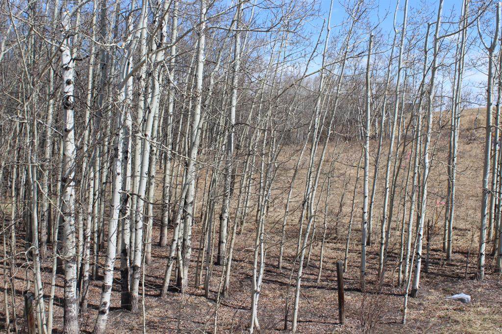 30110 Twp Rd 262 - Photo 1